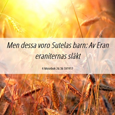 Picture 06 - 4 Mosebok 26:36 SV1917 - Men dessa voro Sutelas barn: Av Eran eraniternas - Bible Verse Picture