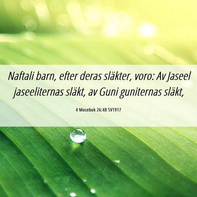 Picture 06 - 4 Mosebok 26:48 SV1917 - Naftali barn, efter deras släkter, voro: Av - Bible Verse Picture