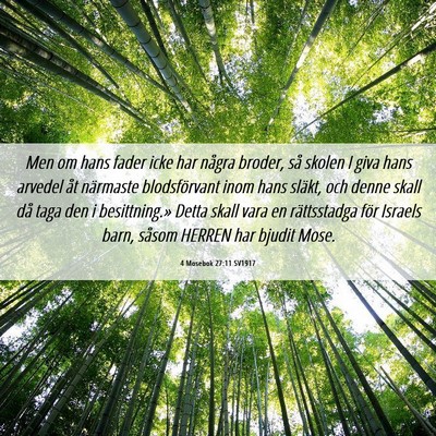 Picture 06 - 4 Mosebok 27:11 SV1917 - Men om hans fader icke har några broder, så - Bible Verse Picture