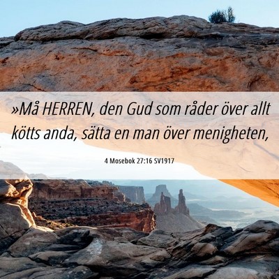 Picture 06 - 4 Mosebok 27:16 SV1917 - »Må HERREN, den Gud som råder över allt - Bible Verse Picture