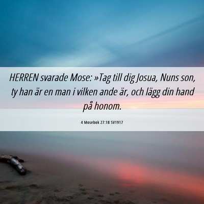 Picture 06 - 4 Mosebok 27:18 SV1917 - HERREN svarade Mose: »Tag till dig Josua, Nuns - Bible Verse Picture