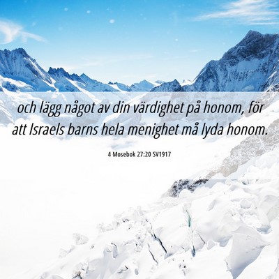 Picture 06 - 4 Mosebok 27:20 SV1917 - och lägg något av din värdighet på honom, - Bible Verse Picture