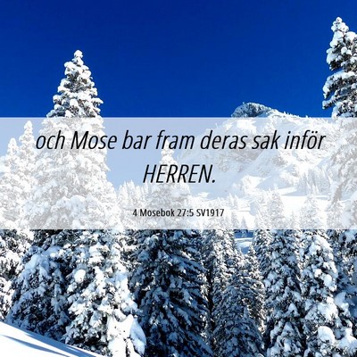 Picture 06 - 4 Mosebok 27:5 SV1917 - och Mose bar fram deras sak inför - Bible Verse Picture