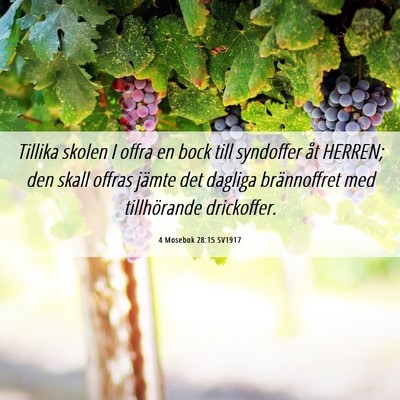 Picture 06 - 4 Mosebok 28:15 SV1917 - Tillika skolen I offra en bock till syndoffer åt - Bible Verse Picture