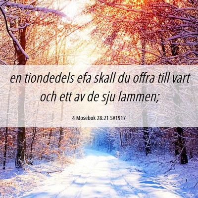 Picture 06 - 4 Mosebok 28:21 SV1917 - en tiondedels efa skall du offra till vart och - Bible Verse Picture