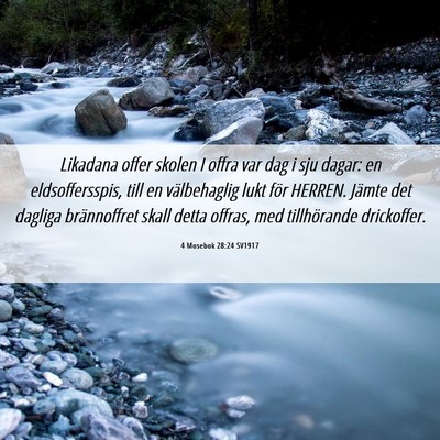 Picture 06 - 4 Mosebok 28:24 SV1917 - Likadana offer skolen I offra var dag i sju - Bible Verse Picture