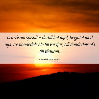Picture 06 - 4 Mosebok 28:28 SV1917 - och såsom spisoffer därtill fint mjöl, - Bible Verse Picture