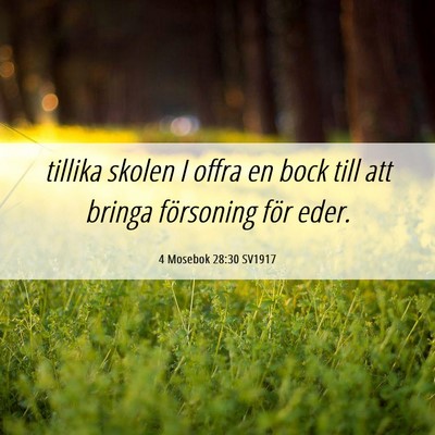 Picture 06 - 4 Mosebok 28:30 SV1917 - tillika skolen I offra en bock till att bringa - Bible Verse Picture