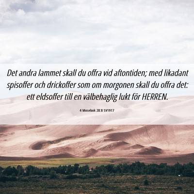 Picture 06 - 4 Mosebok 28:8 SV1917 - Det andra lammet skall du offra vid aftontiden; - Bible Verse Picture