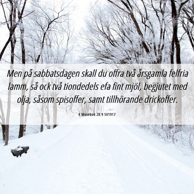 Picture 06 - 4 Mosebok 28:9 SV1917 - Men på sabbatsdagen skall du offra två - Bible Verse Picture
