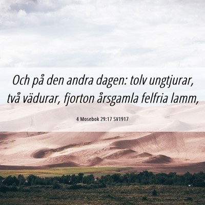 Picture 06 - 4 Mosebok 29:17 SV1917 - Och på den andra dagen: tolv ungtjurar, två - Bible Verse Picture