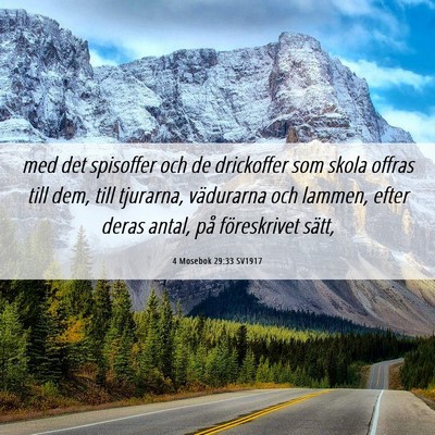 Picture 06 - 4 Mosebok 29:33 SV1917 - med det spisoffer och de drickoffer som skola - Bible Verse Picture
