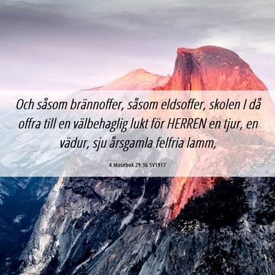 Picture 06 - 4 Mosebok 29:36 SV1917 - Och såsom brännoffer, såsom eldsoffer, skolen - Bible Verse Picture