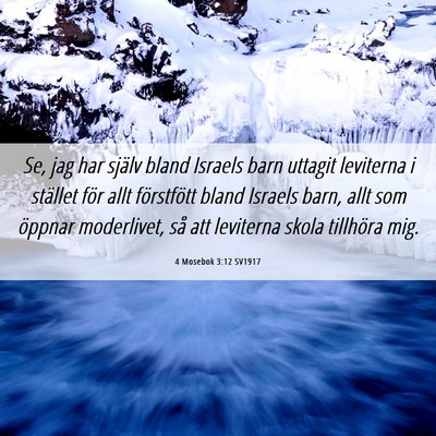 Picture 06 - 4 Mosebok 3:12 SV1917 - Se, jag har själv bland Israels barn uttagit - Bible Verse Picture