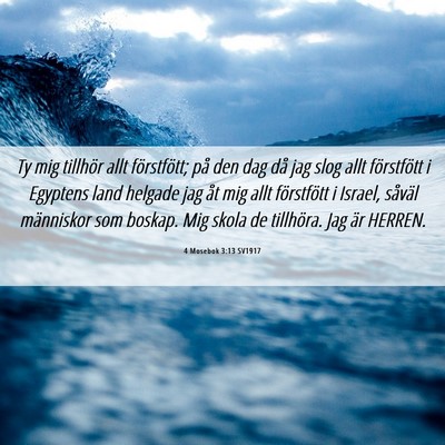 Picture 06 - 4 Mosebok 3:13 SV1917 - Ty mig tillhör allt förstfött; på den dag då - Bible Verse Picture