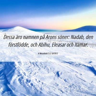 Picture 06 - 4 Mosebok 3:2 SV1917 - Dessa äro namnen på Arons söner: Nadab, den - Bible Verse Picture