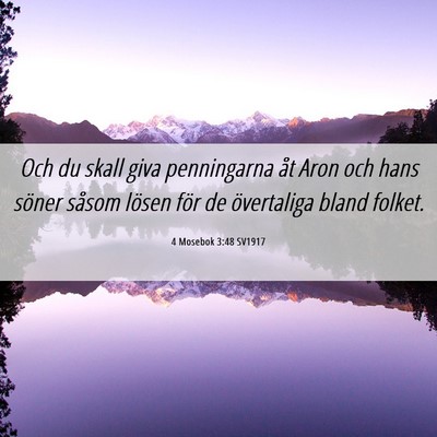 Picture 06 - 4 Mosebok 3:48 SV1917 - Och du skall giva penningarna åt Aron och hans - Bible Verse Picture