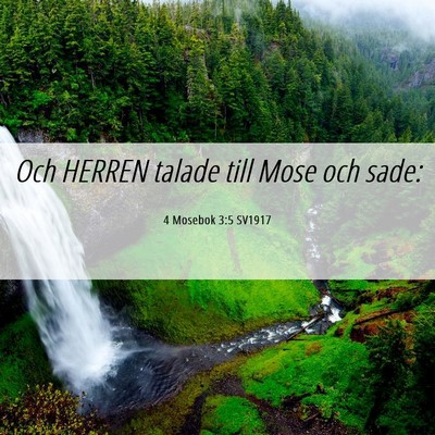 Picture 06 - 4 Mosebok 3:5 SV1917 - Och HERREN talade till Mose och - Bible Verse Picture