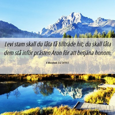 Picture 06 - 4 Mosebok 3:6 SV1917 - Levi stam skall du låta få tillträde hit; du - Bible Verse Picture