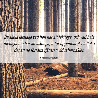 Picture 06 - 4 Mosebok 3:7 SV1917 - De skola iakttaga vad han har att iakttaga, och - Bible Verse Picture