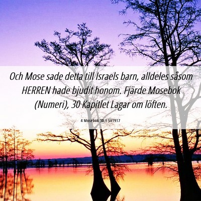 Picture 06 - 4 Mosebok 30:1 SV1917 - Och Mose sade detta till Israels barn, alldeles - Bible Verse Picture