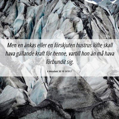 Picture 06 - 4 Mosebok 30:10 SV1917 - Men en änkas eller en förskjuten hustrus löfte - Bible Verse Picture