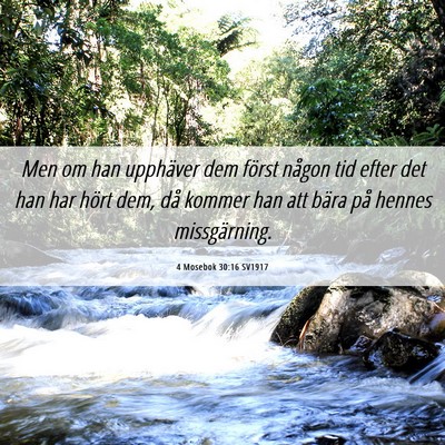 Picture 06 - 4 Mosebok 30:16 SV1917 - Men om han upphäver dem först någon tid efter - Bible Verse Picture