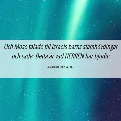 Picture 06 - 4 Mosebok 30:2 SV1917 - Och Mose talade till Israels barns stamhövdingar - Bible Verse Picture