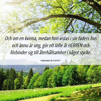Picture 06 - 4 Mosebok 30:4 SV1917 - Och om en kvinna, medan hon vistas i sin faders - Bible Verse Picture