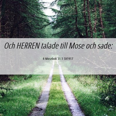 Picture 06 - 4 Mosebok 31:1 SV1917 - Och HERREN talade till Mose och - Bible Verse Picture