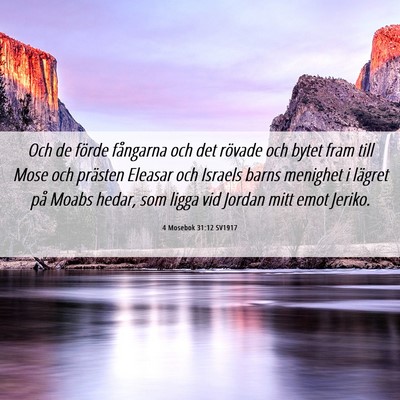 Picture 06 - 4 Mosebok 31:12 SV1917 - Och de förde fångarna och det rövade och bytet - Bible Verse Picture