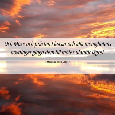Picture 06 - 4 Mosebok 31:13 SV1917 - Och Mose och prästen Eleasar och alla - Bible Verse Picture
