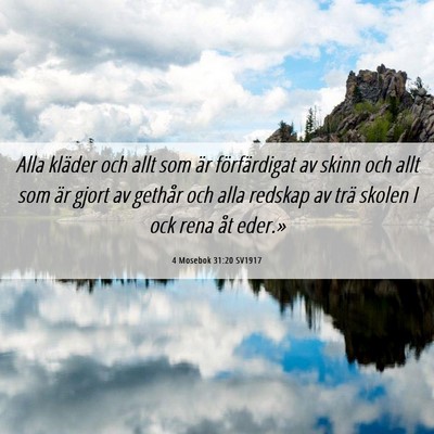 Picture 06 - 4 Mosebok 31:20 SV1917 - Alla kläder och allt som är förfärdigat av - Bible Verse Picture
