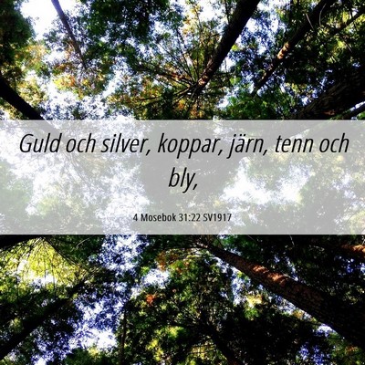 Picture 06 - 4 Mosebok 31:22 SV1917 - Guld och silver, koppar, järn, tenn och - Bible Verse Picture