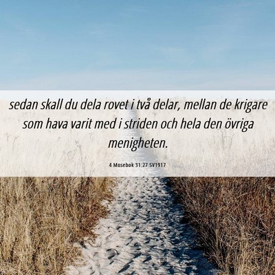 Picture 06 - 4 Mosebok 31:27 SV1917 - sedan skall du dela rovet i två delar, mellan de - Bible Verse Picture