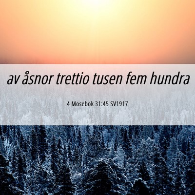 Picture 06 - 4 Mosebok 31:45 SV1917 - av åsnor trettio tusen fem - Bible Verse Picture