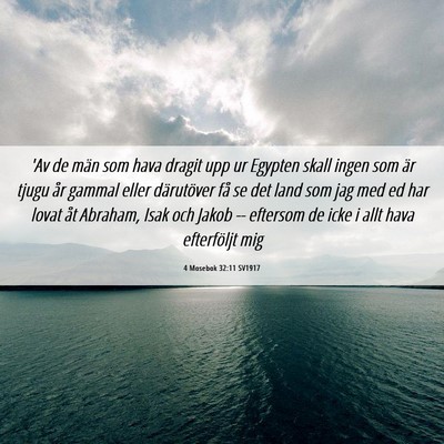 Picture 06 - 4 Mosebok 32:11 SV1917 - 'Av de män som hava dragit upp ur Egypten skall - Bible Verse Picture