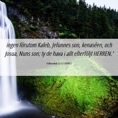 Picture 06 - 4 Mosebok 32:12 SV1917 - ingen förutom Kaleb, Jefunnes son, kenaséen, - Bible Verse Picture