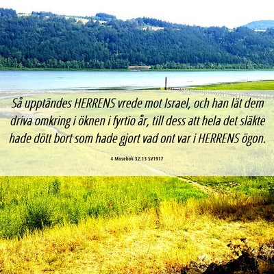 Picture 06 - 4 Mosebok 32:13 SV1917 - Så upptändes HERRENS vrede mot Israel, och han - Bible Verse Picture