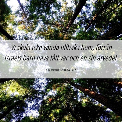 Picture 06 - 4 Mosebok 32:18 SV1917 - Vi skola icke vända tillbaka hem, förrän - Bible Verse Picture