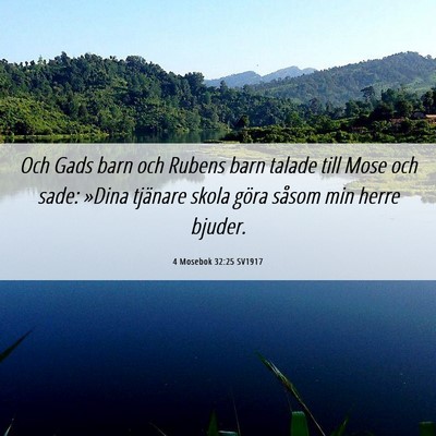 Picture 06 - 4 Mosebok 32:25 SV1917 - Och Gads barn och Rubens barn talade till Mose - Bible Verse Picture