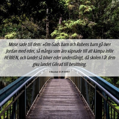 Picture 06 - 4 Mosebok 32:29 SV1917 - Mose sade till dem: »Om Gads barn och Rubens - Bible Verse Picture