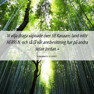 Picture 06 - 4 Mosebok 32:32 SV1917 - Vi vilja draga väpnade över till Kanaans land - Bible Verse Picture