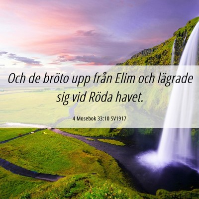 Picture 06 - 4 Mosebok 33:10 SV1917 - Och de bröto upp från Elim och lägrade sig vid - Bible Verse Picture