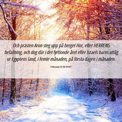 Picture 06 - 4 Mosebok 33:38 SV1917 - Och prästen Aron steg upp på berget Hor, efter - Bible Verse Picture