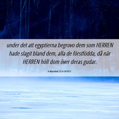 Picture 06 - 4 Mosebok 33:4 SV1917 - under det att egyptierna begrovo dem som HERREN - Bible Verse Picture