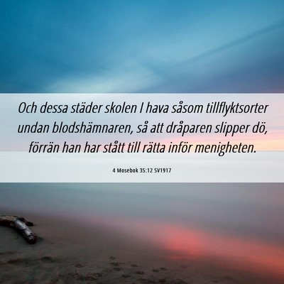 Picture 06 - 4 Mosebok 35:12 SV1917 - Och dessa städer skolen I hava såsom - Bible Verse Picture