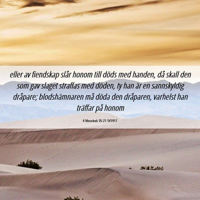 Picture 06 - 4 Mosebok 35:21 SV1917 - eller av fiendskap slår honom till döds med - Bible Verse Picture