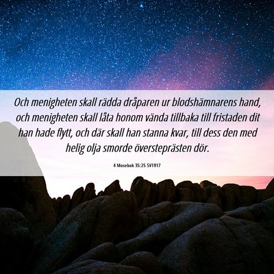 Picture 06 - 4 Mosebok 35:25 SV1917 - Och menigheten skall rädda dråparen ur - Bible Verse Picture