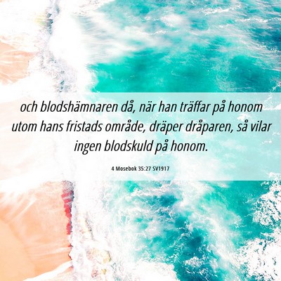 Picture 06 - 4 Mosebok 35:27 SV1917 - och blodshämnaren då, när han träffar på - Bible Verse Picture